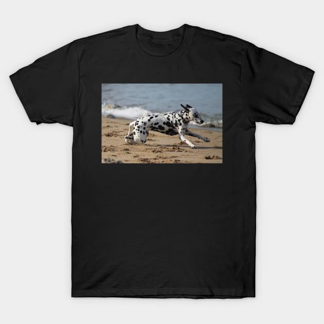 Dalmation Dash T-Shirt by Ladymoose